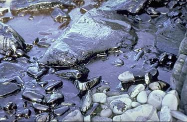 A photograph shows oil-slicked rocks along the coastal shoreline of Prince William Sound after the Exxon Valdez ran aground in 1989.