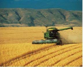 A photograph of a farm.