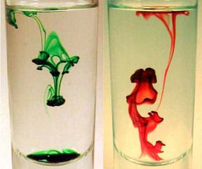 Food coloring makes patterns in glasses of clear liquids.