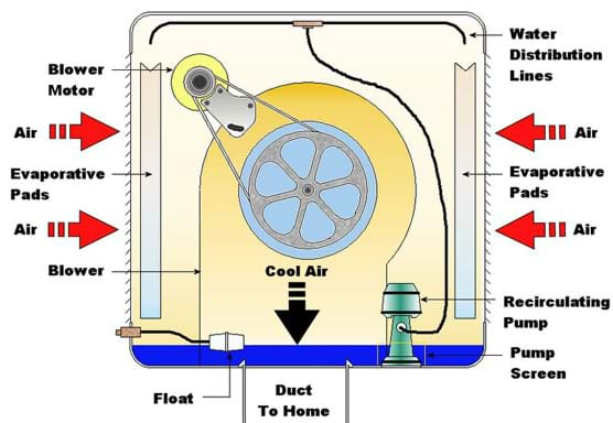 A cutaway diagram shows various components (blower motor, evaporative pads, blower, water distribution lines and pump) and arrows indicating air flow direction. 