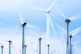 Photo shows the tops of about 20 giant three-blade wind turbine spinning against a blue sky.