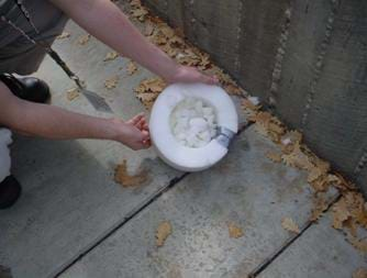 A photograph shows an unbroken egg that was dropped from ~6 ft onto a bed of foam.