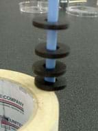 Photo of four ring magnets hovering above and below each other along the length of a vertical blue pencil.