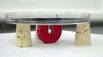 Photo of a petri dish on three corks, making a small table. A horseshoe magnet is under the Petri dish and iron filings are on the Petri dish. 