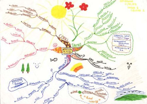 A drawing that starts in the center with a topic heading, and branches out in all directions with main points, keywords, examples and data indicated on the branches that fill up an entire page.