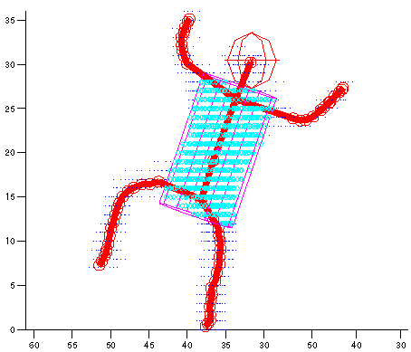 A motion capture image demonstrating center of gravity.