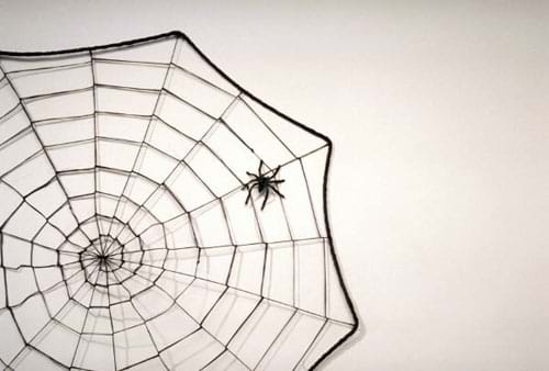 A black/white image of a spider web with the spider in it.