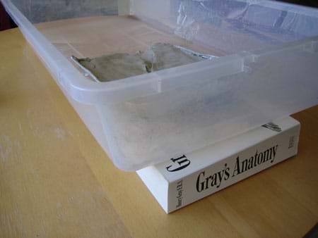Photo shows a clay-covered baking pan inside a clear plastic tub that is at an angle because it is propped on one end with a thick book.