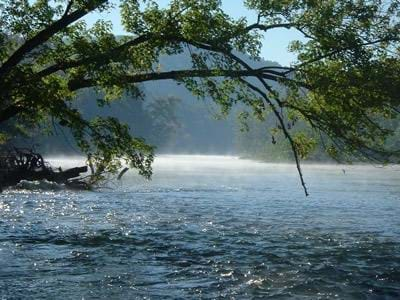 Photo shows a river with a tree in the foreground.