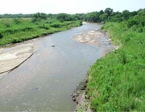 Photo shows a river with sand bars in the channel and green grasses and trees on either side.