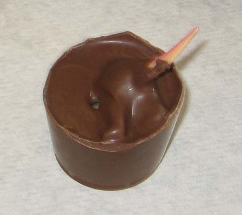 Photo shows a hardened chunk of chocolate with a toy dinosaur tail sticking out of it.