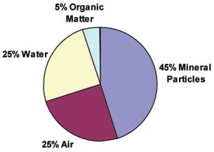 A pie chart shows 45% mineral particles, 25% air, 25% water and 5% organic matter.