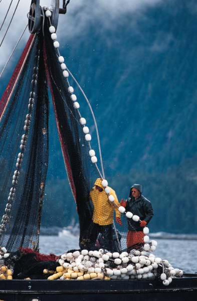 A photograph of fishermen on a boat using a pulley to pull in their net.