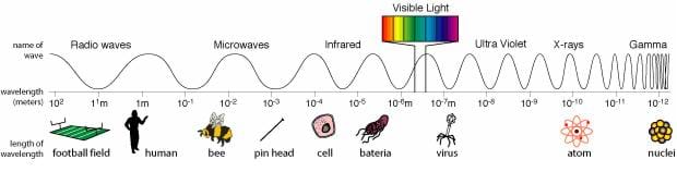 An image of the electromagnetic spectrum, showing how frequency increases from radio waves all the way to gamma rays. Different wavelengths are labeled above with the name of the wave they produce and below with a picture showing the relative length of the wavelength. For example, wavelengths of 10-2 m are microwaves, which are about as long as the body of a bee.