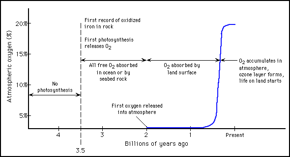 A graph shows when the Earth obtained its oxygen atmosphere and why. Two billion years ago, the first oxygen was released into the atmosphere.
