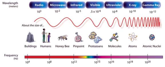 A drawing shows a range of wavelengths (radio, microwave, infrared, visible, ultraviolet, x-ray and gamma ray), their size and frequency, as well as wavelength size examples (buildings, humans, honey bee, pin point, protozoans, molecules, atoms, atomic nuclei).