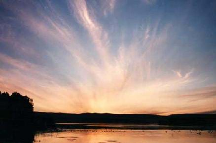 Photo shows a sunset sky with thin, wispy clouds.