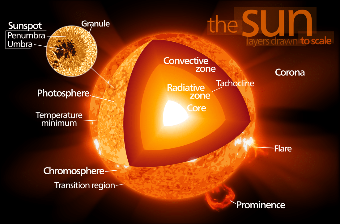 A diagram of the Sun.