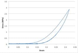 A graph with strain on the x-axis and stress on the y-axis shows two lines with the same shape as in Figure 2 (initially concave up curved region, followed by a linear region). The two lines overlap (are the same) at their beginnings and ends, but have different curvatures, resulting in a space between the two lines.