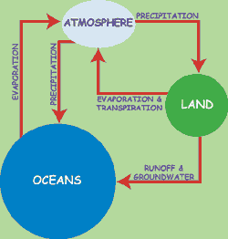 Rocky River Flow Chart