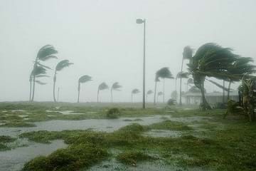 Hurricane Dennis hits palm trees and floods the area in Key West, FL.