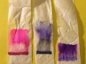A photograph shows three strips of coffee filter paper after the activity. Original permanent marker lines of red, black and purple ink have each separated into color variations and moved up higher on the paper, for example, the black ink has separated into a black/gray area and a dark blue area.