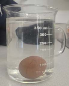 A photograph shows a beaker filled with water with a ball of clay at the bottom.