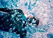 Underwater photo shows a person swimming through bubbles.