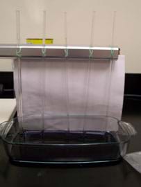 Photo shows a lab set-up in which five clear glass tubes of different diameters are suspended vertically from above into a glass baking dish on the counter below.