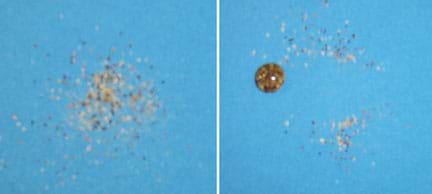 Two photos show a sprinkling of pepper on a blue cloth surface (left), and a bead of water containing pepper, now seen missing from a clean section of the blue cloth (right).