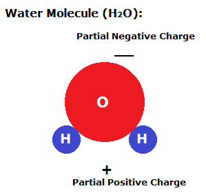 The image shows a diagram of a water molecule. The oxygen atom is shown as a red circle with an "O" in the center, and the two hydrogen atoms are shown as blue circles, each with an "H" in the center. The side of the molecule with the two hydrogen atoms has a partial positive charge while the side of the molecule opposite from the hydrogen atoms has a partial negative charge.