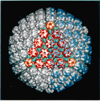 What looks like an orb composed of many smaller objects of different colors and shapes.