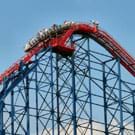 preview of 'Physics of Roller Coasters' Lesson
