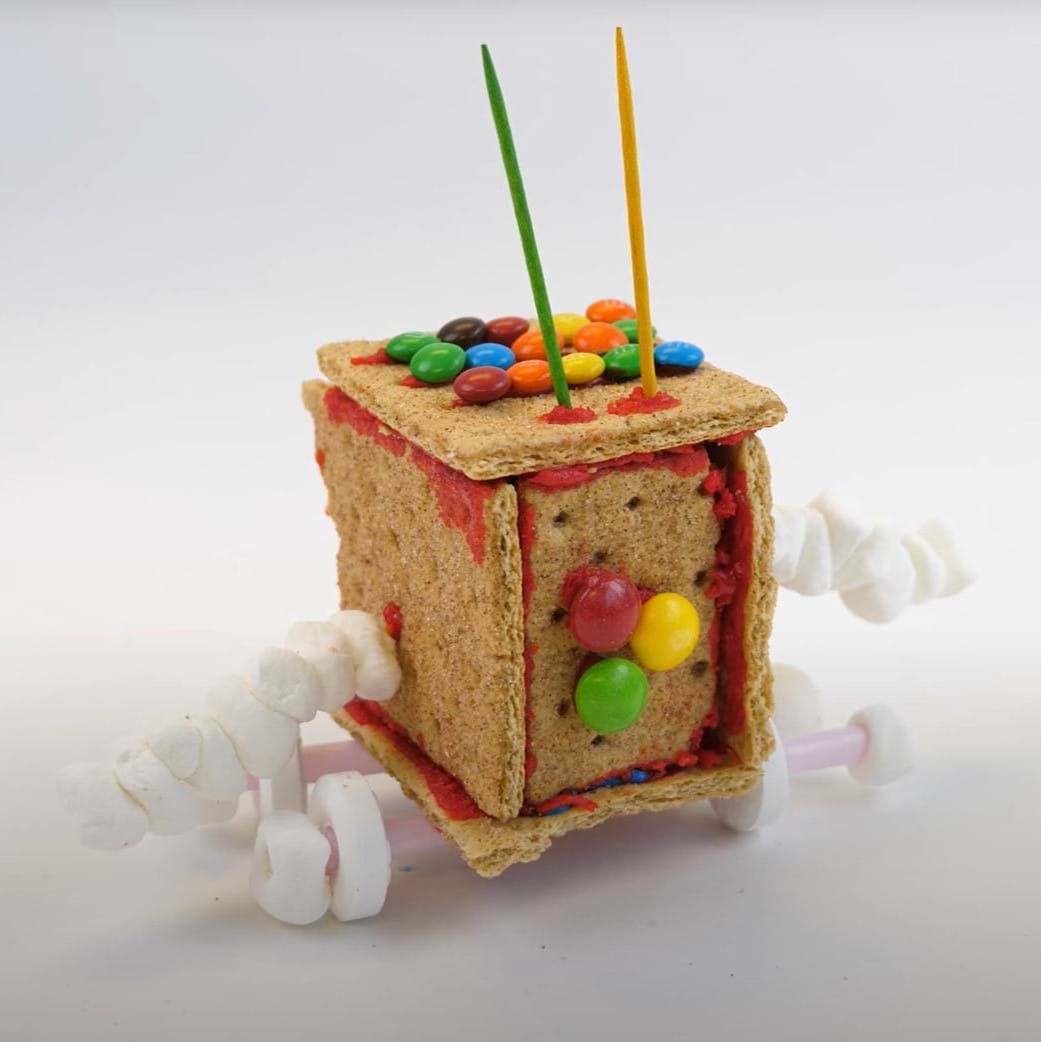 preview of 'Edible Rovers' Activity