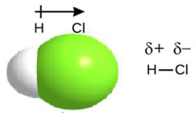 A space-filling model of a polar hydrogen chloride (HCl) molecule. The valence electron of hydrogen shifts towards chlorine, creating a larger electron cloud around the chlorine atom. An arrow points to the right to depict the dipole moment vector. To the right of the model, the partial charges are shown: + above H, - above Cl. A space-filling model of a polar hydrogen chloride (HCl) molecule. The valence electron of hydrogen shifts towards chlorine, creating a larger electron cloud around the chlorine atom. An arrow points to the right to depict the dipole moment vector. To the right of the model, the partial charges are shown: + above H, - above Cl.
