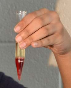 A photograph shows hand holding a glass tube with a pointed bottom end (a tube from a centrifuge) showing the contents in two layers, a darker red bottom layer and a pale yellow upper layer.