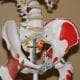 preview of 'Medical Instrumentation' Lesson