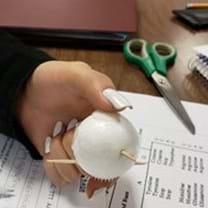 preview of 'Bacteriophage Builder Challenge' Maker Challenge