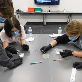 preview of 'Bacteria Says What!' Activity