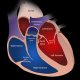 preview of 'The Strongest Pump of All: Electrical Heart Functions' Lesson