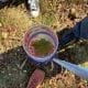 preview of 'Engineering a Sapling Guard Using Recycled Materials' Activity