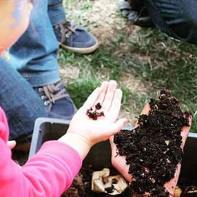 preview of 'Soil from Spoiled: Engineering a Compost Habitat for Worms' Activity