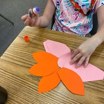 preview of 'To Pollinate or Not to Pollinate' Activity