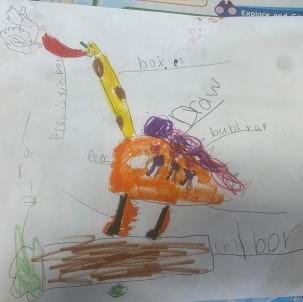 preview of 'Animal Adaptations Fashion Show' Activity