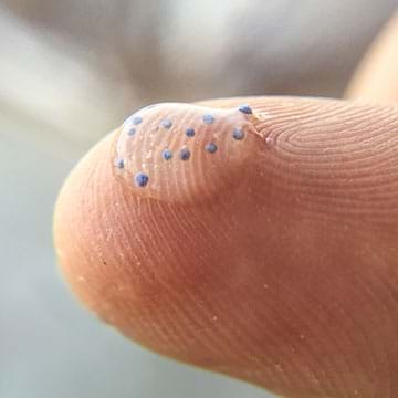 preview of 'Microplastic Extraction of Exfoliating Beads from Cleansers ' Activity