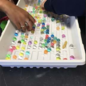 preview of 'Modeling Nuclear Damage from Cell Movement' Activity