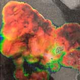 preview of 'Liquid Crystal Thermometers' Activity