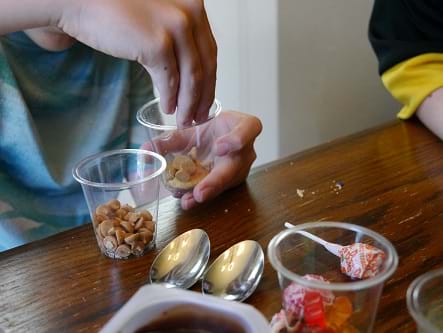 Child’s hand sprinkling butterscotch chips into cup.