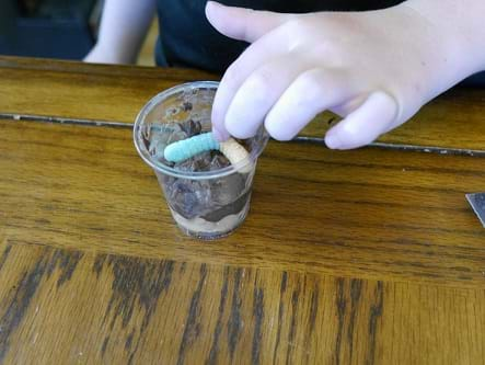 Child hand placing gummy worm into the cup.