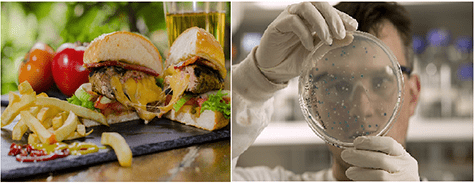 (left) A burger and fries (right) A scientist examining bacteria on a petri dish.